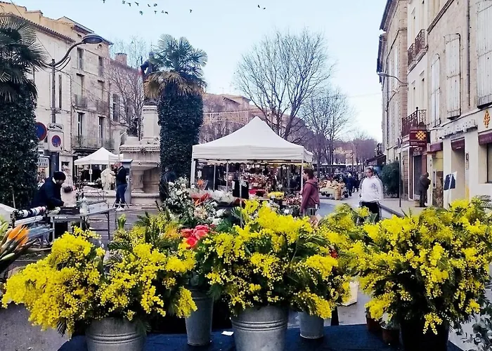 Cocon D'artiste-cœur Historique-pézenas