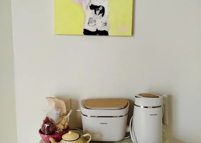 Cocon D'artiste-cœur Historique-pézenas Appartement Pézenas